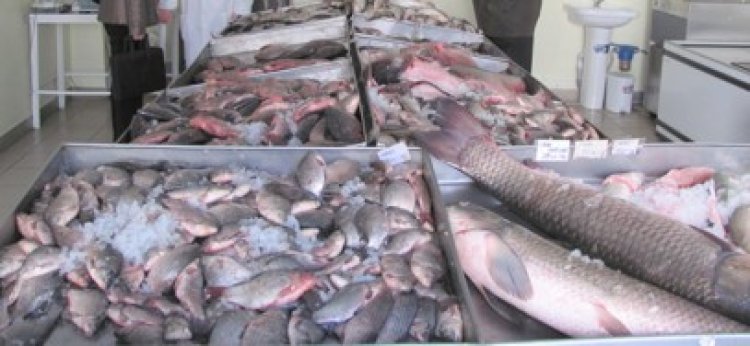 Bursa peştelui de la Tulcea va fi realizată în doi ani